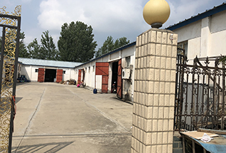 ���M(j��n)�҂�